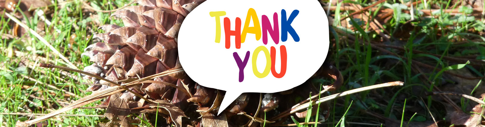 Thank You for Contacting Us